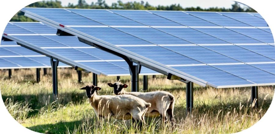 Energie solara la cheie cu ajutorul unui parc fotovoltaic (ferma panouri fotovoltaice)